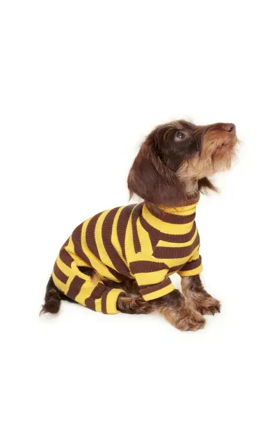 Little Beast Stretch-Cotton Dog Onesie - Stripe | Thumbnail 3