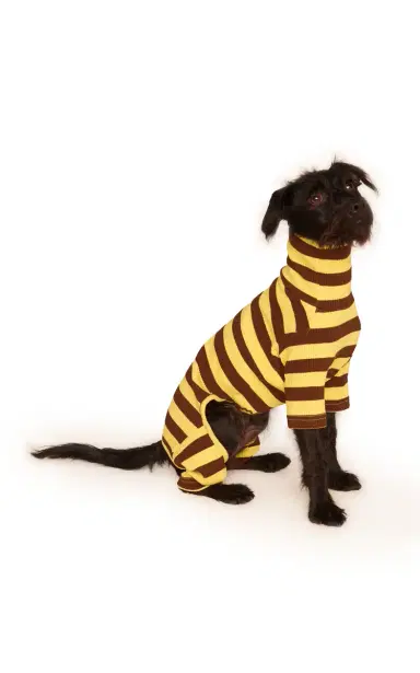 Little Beast Stretch-Cotton Dog Onesie - Stripe | Thumbnail 4