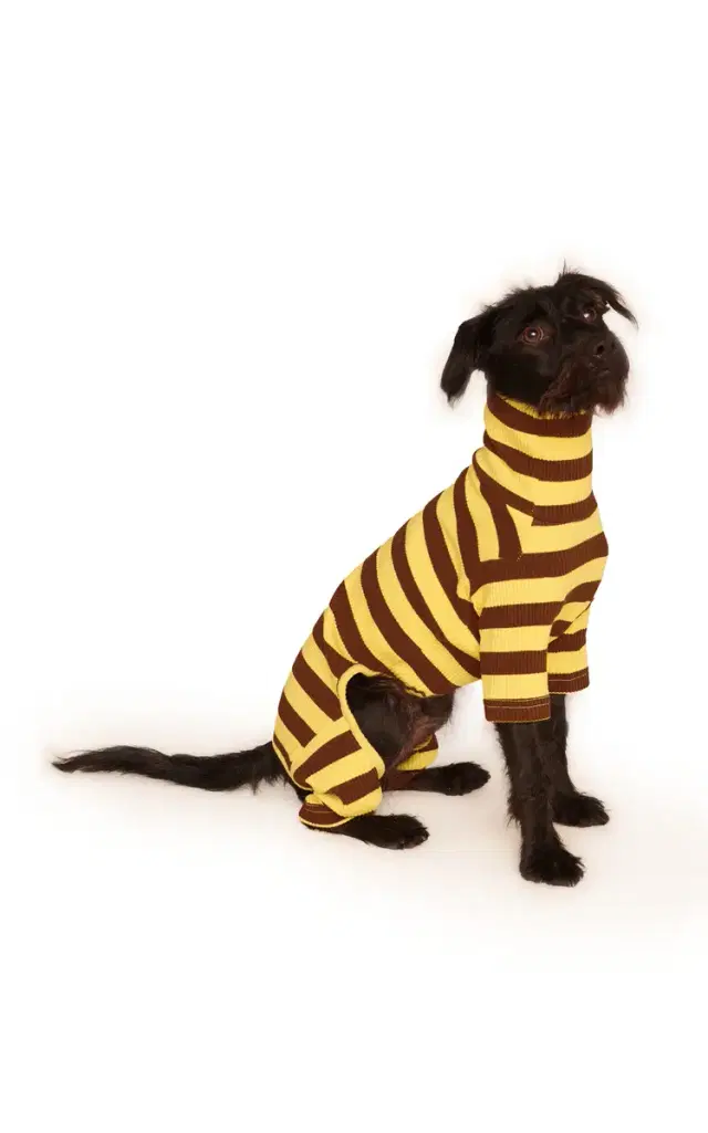 Little Beast Stretch-Cotton Dog Onesie - Stripe