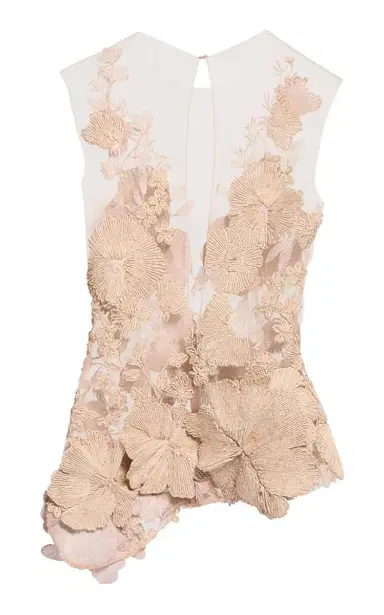 Elie Saab Rafia Embroidery On Tulle Top | Thumbnail 6