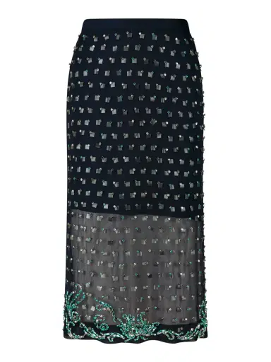 Dries Van Noten Sokna Embellished Skirt | Thumbnail 1