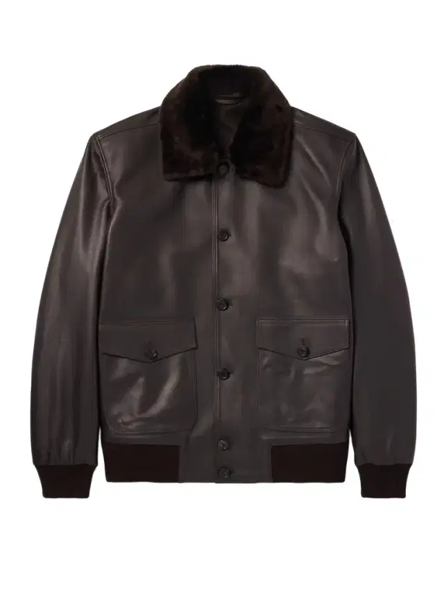 Shearling-Trimmed Leather Jacket - Men