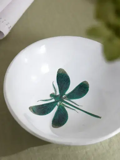 Astier De Villatte + John Derian Printed Ceramic Soup Plate | Thumbnail 3