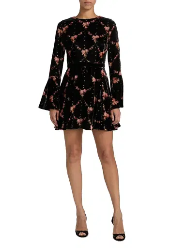 Cara Cara Women's Rosabella Floral Velvet A-Line Minidress - Trellis Black | Thumbnail 2 Cara Cara Women's Rosabella Floral Velvet A-Line Minidress - Trellis Black | Thumbnail 2