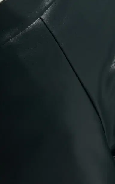 Cucculelli Shaheen Leather Skinny Pants | Thumbnail 4 Cucculelli Shaheen Leather Skinny Pants | Thumbnail 4