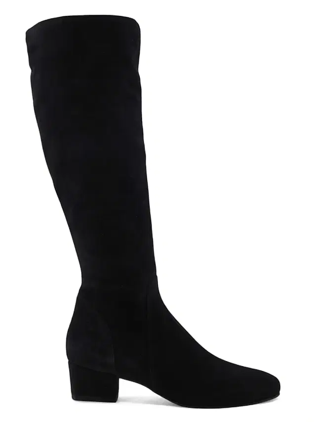 Aquatalia Women's Serafina 40MM Suede Knee-High Boots - Black