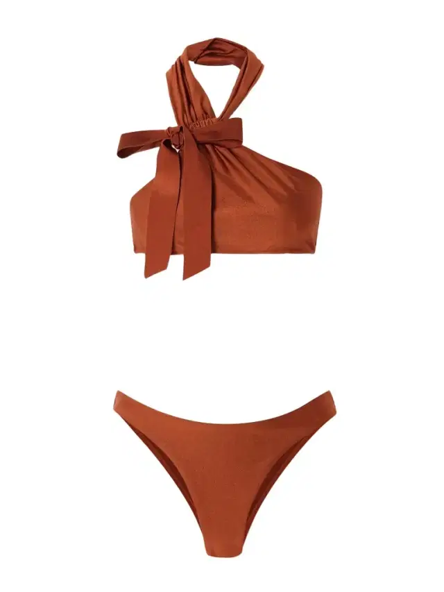 Awaken Bow-detailed Halterneck Bikini