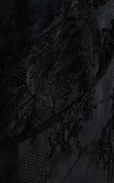 Prada Lace Midi Dress | Thumbnail 5