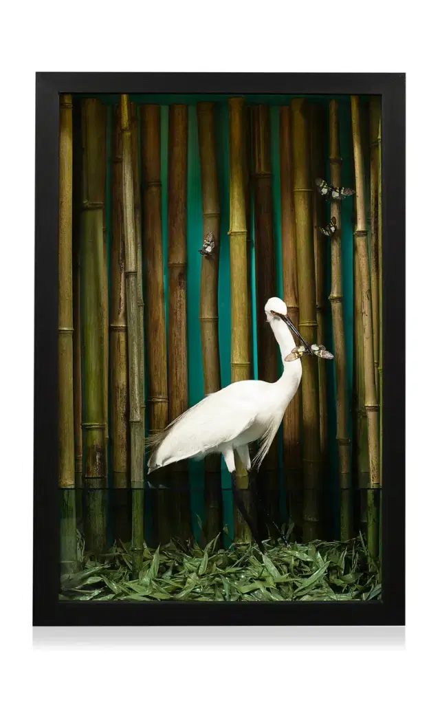 The Flood; Illuminated Vitrine Artwork - Multi