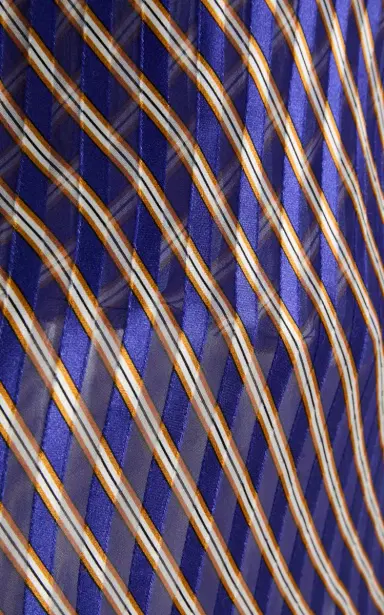 Dries Van Noten Chai Striped Devouré Camisole | Thumbnail 5