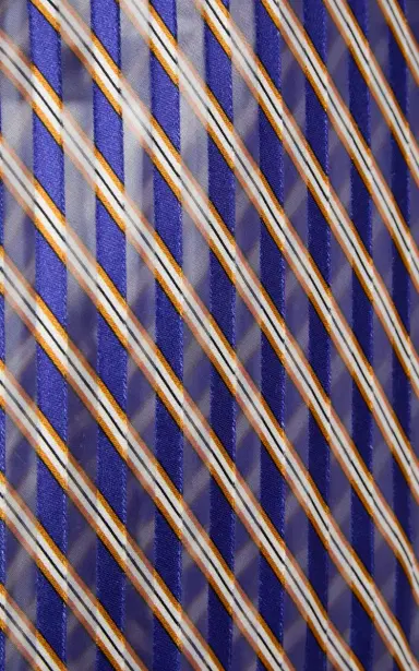 Dries Van Noten Sati Diagonal-Striped Satin Skirt | Thumbnail 5 Dries Van Noten Sati Diagonal-Striped Satin Skirt | Thumbnail 5