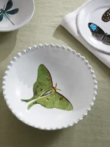 Astier De Villatte + John Derian Printed Ceramic Soup Plate | Thumbnail 2