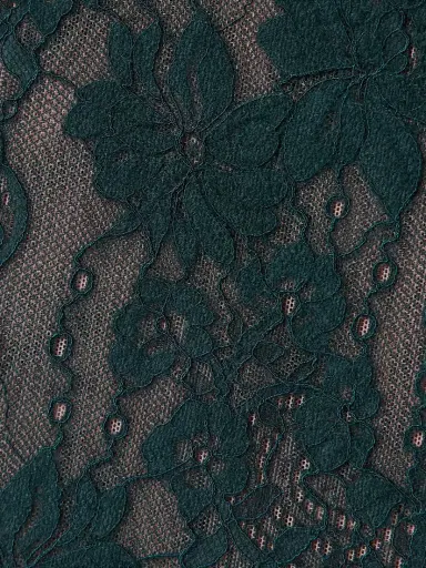 Zimmermann Lace Bodysuit | Thumbnail 5