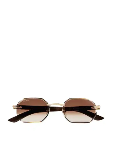 Cartier Eyewear Octagon-frame Gold-tone And Wood Sunglasses | Thumbnail 1 Cartier Eyewear Octagon-frame Gold-tone And Wood Sunglasses | Thumbnail 1