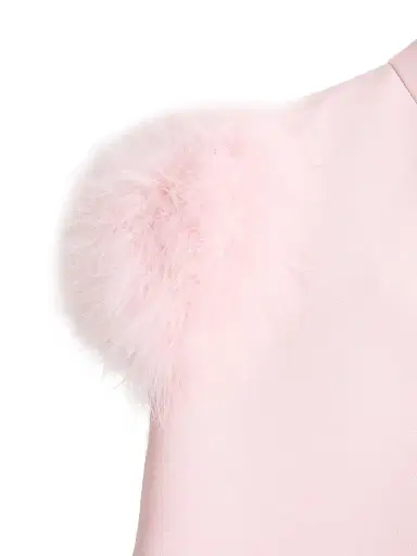 Valentino Garavani Women's Short Crepe Couture Dress with Feathers - Rose - Size 4 | Thumbnail 6