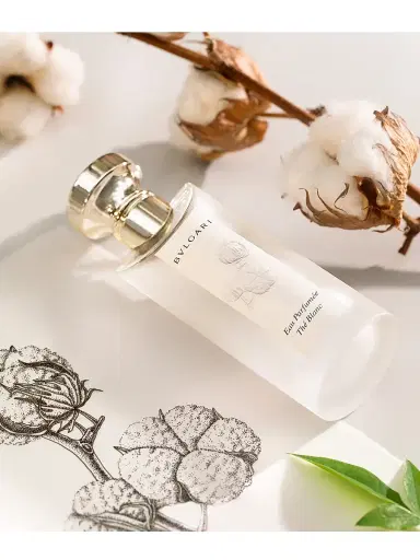 BVLGARI Eau Parfumée Thé Blanc Eau de Toilette 2.5 oz | Thumbnail 5 BVLGARI Eau Parfumée Thé Blanc Eau de Toilette 2.5 oz | Thumbnail 5