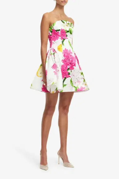 LEO LIN Reese Bustier Mini Dress | Thumbnail 3