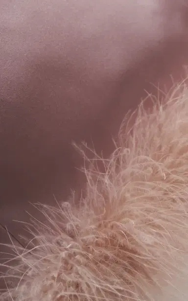 Valentino Garavani Feather-Trimmed Satin Midi Skirt | Thumbnail 5