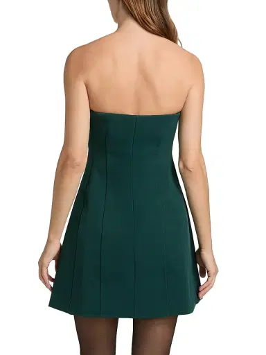 SIMKHAI Women's Devin Bustier Minidress - Emerald | Thumbnail 5