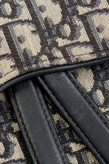 Dior Oblique Trotter Saddle Bag | Thumbnail 6 Dior Oblique Trotter Saddle Bag | Thumbnail 6