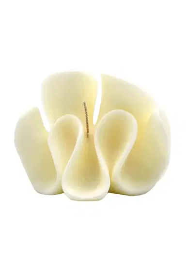 Davie Ocho Candle Co. Aurora Candle | Thumbnail 4