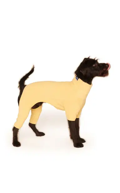 Little Beast Fleece Dog Onesie | Thumbnail 2 Little Beast Fleece Dog Onesie | Thumbnail 2
