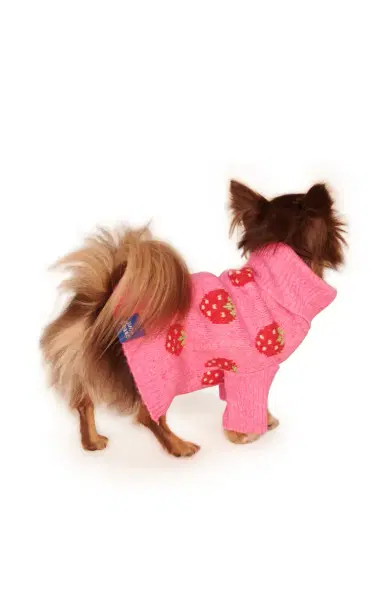 Little Beast The Strawberry Dog Sweater - Print | Thumbnail 2 Little Beast The Strawberry Dog Sweater - Print | Thumbnail 2