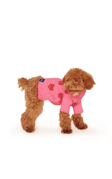 Little Beast The Strawberry Dog Sweater - Print | Thumbnail 3 Little Beast The Strawberry Dog Sweater - Print | Thumbnail 3