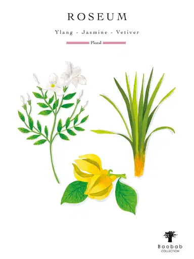 BAOBAB COLLECTION Les Exclusives Roseum Max24 Candle | Thumbnail 4