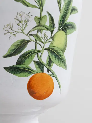 Astier De Villatte + John Derian Ceramic Vase | Thumbnail 3 Astier De Villatte + John Derian Ceramic Vase | Thumbnail 3