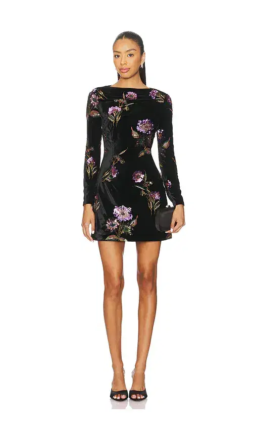 Clio Long Sleeve Mini Dress