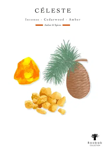 BAOBAB COLLECTION Céleste Candle | Thumbnail 4 BAOBAB COLLECTION Céleste Candle | Thumbnail 4
