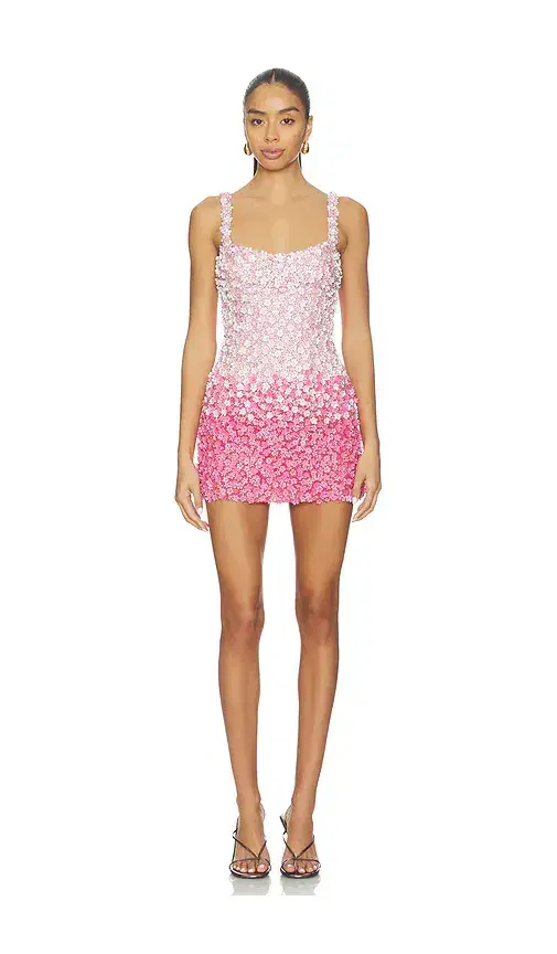Pink Petal Ombre Embroidered Dress Pink Petal Ombre Embroidered Dress
