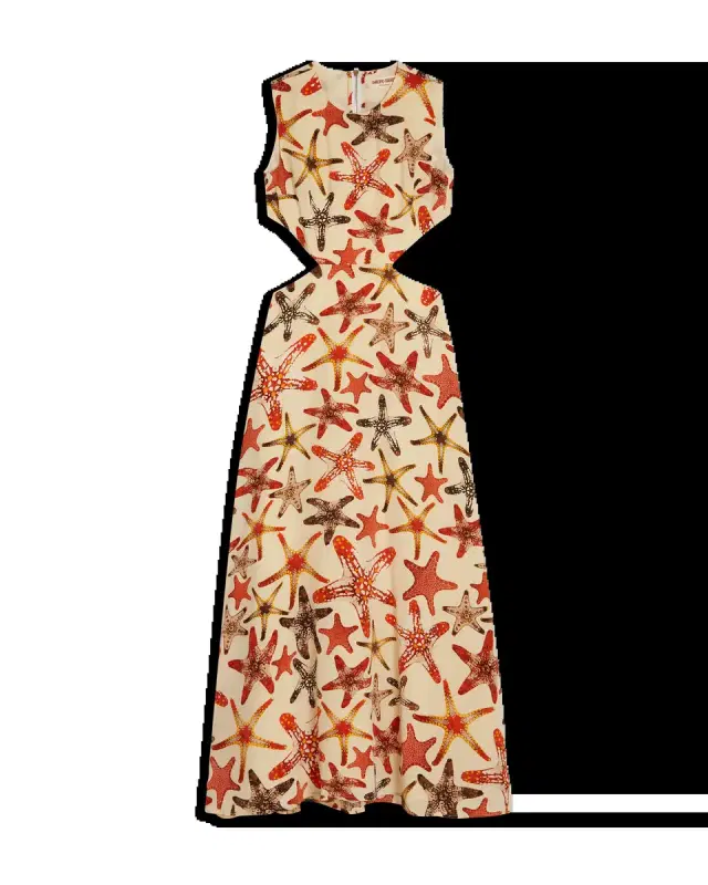 Paola Dress In Starfish Print
