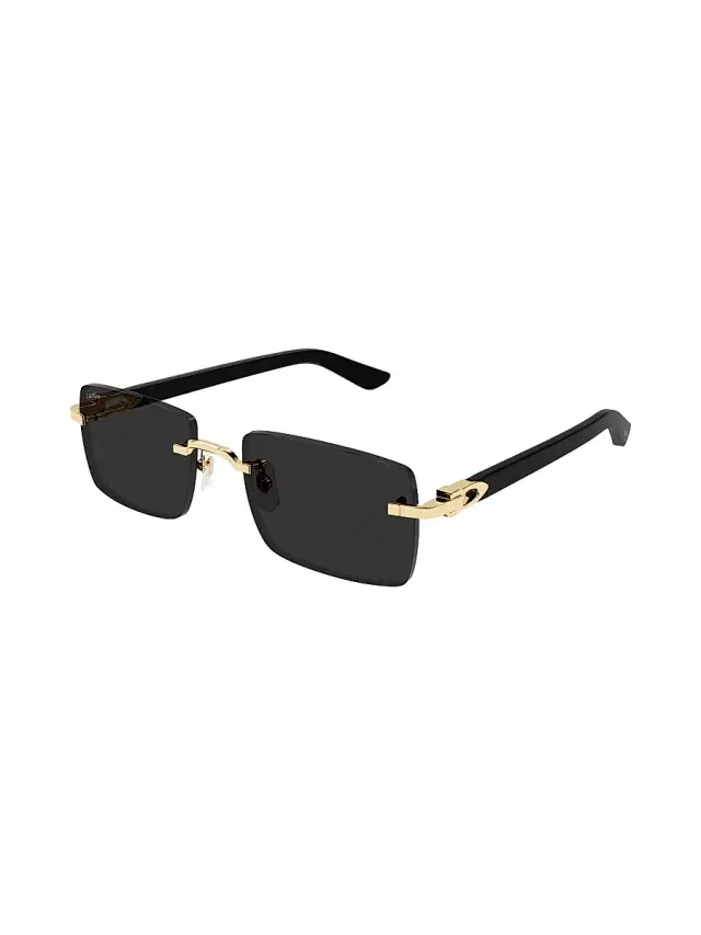 Cartier Men's C Decor 55MM Rectangular Sunglasses - Gold Black