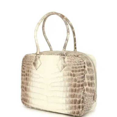 HERMÈS Pre-owned Hermes Plume 28 Himalaya Matte Niloticus Crocodile Palladium Hardware | Thumbnail 5 HERMÈS Pre-owned Hermes Plume 28 Himalaya Matte Niloticus Crocodile Palladium Hardware | Thumbnail 5