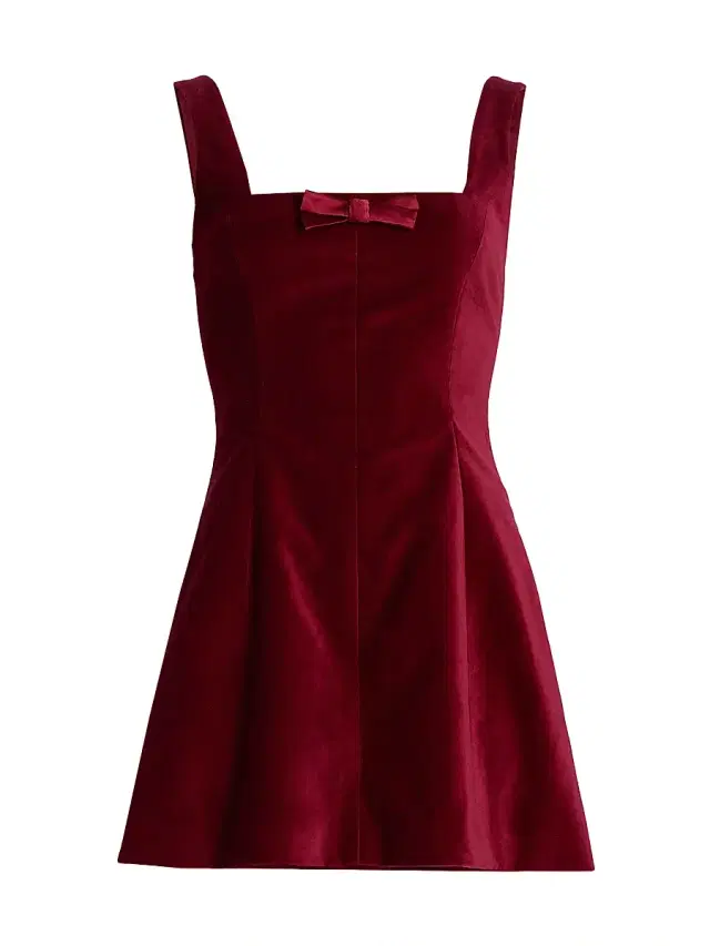 Women's Brooke Velvet Fit & Flare Minidress - Burgandy