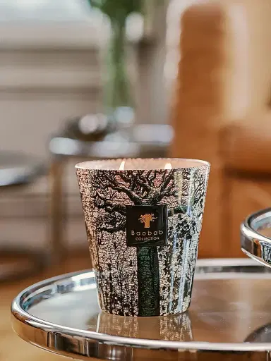 Baobab Collection Sacred Trees Kani 4-Wick Candle | Thumbnail 3 Baobab Collection Sacred Trees Kani 4-Wick Candle | Thumbnail 3