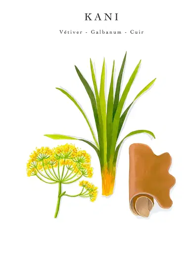 Baobab Collection Sacred Trees Kani 4-Wick Candle | Thumbnail 4 Baobab Collection Sacred Trees Kani 4-Wick Candle | Thumbnail 4