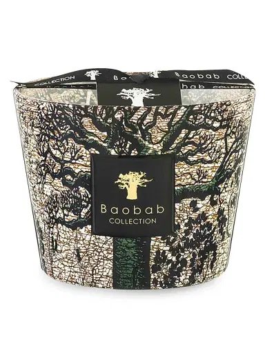 Baobab Collection Sacred Trees Kani 4-Wick Candle | Thumbnail 1 Baobab Collection Sacred Trees Kani 4-Wick Candle | Thumbnail 1