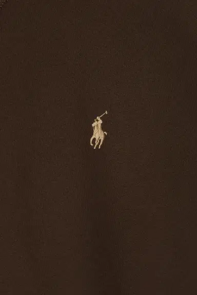 Polo Ralph Lauren Long Sleeve RL Fleece Pullover Hoodie | Thumbnail 7