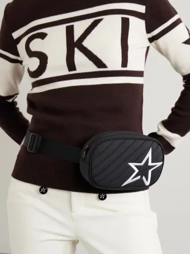 Perfect Moment Star Embroidered Quilted Shell Belt Bag | Thumbnail 2 Perfect Moment Star Embroidered Quilted Shell Belt Bag | Thumbnail 2