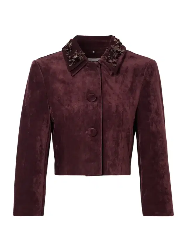 Cropped Embellished Velvet Jacket