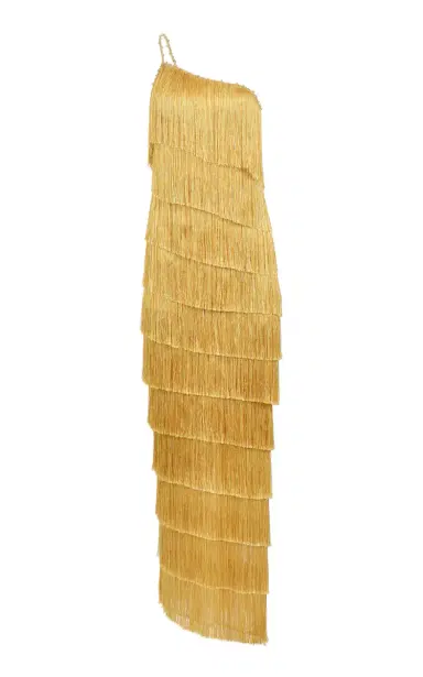 Francesca Miranda Isidora Fringed Silk-Blend Maxi Dress | Thumbnail 5