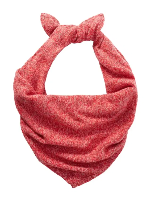 Cashmere Scarf