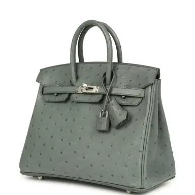 HERMÈS Hermes Birkin 25 Vert Amande Ostrich Palladium Hardware | Thumbnail 5 HERMÈS Hermes Birkin 25 Vert Amande Ostrich Palladium Hardware | Thumbnail 5