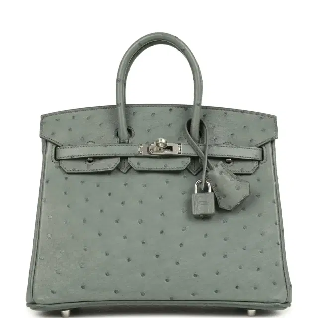 hermes Hermes Birkin 25 Vert Amande Ostrich Palladium Hardware