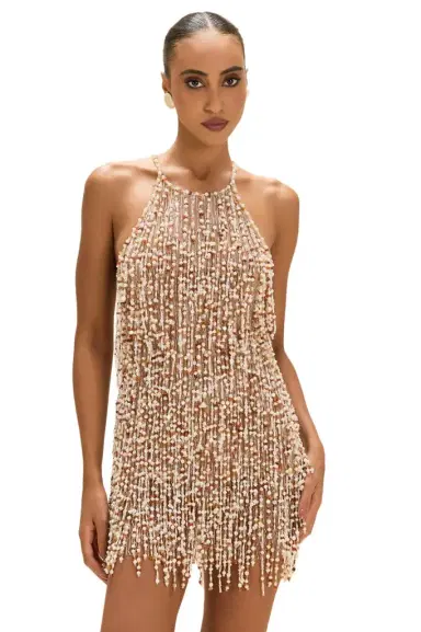 PatBo PEARL DUST EMBROIDERY MINI DRESS | Thumbnail 1