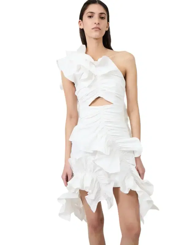 Aknvas The Jagger ruffle dress