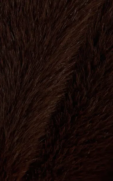 DARKPARK Hunter Faux Fur Jacket | Thumbnail 5